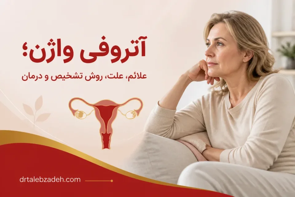 نمای توضیحی درباره یائسگی و کاهش هورمون استروژن